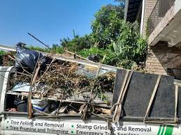 Professional Junk Removal Services in Eagle, CO